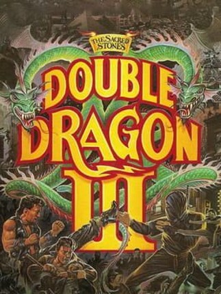 Double Dragon III: The Sacred Stones Game Cover