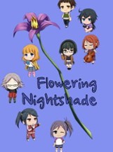 Flowering Nightshade Image