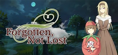 Forgotten, Not Lost Steam CD Key Image