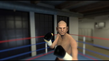 The Thrill of the Fight - VR Boxing Image