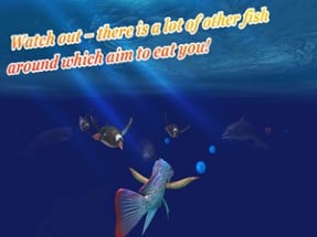 Underwater adventure 3D Image