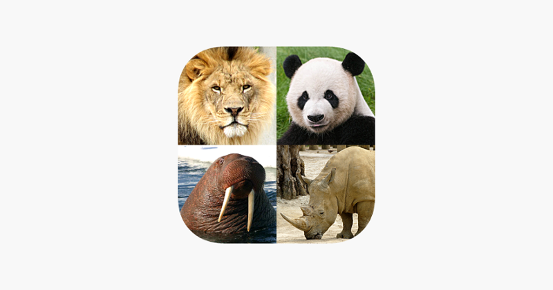 Animals Quiz - Mammals in Zoo Game Cover