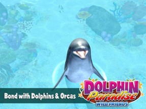 Dolphin Paradise: Wild Friends Image