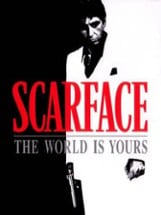 Scarface: The World Is Yours Image