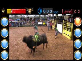 Bull Riding Challenge 2 Image