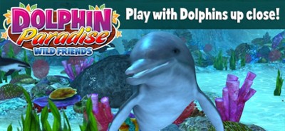 Dolphin Paradise: Wild Friends Image