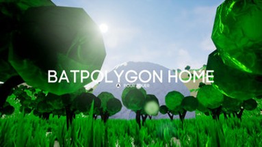 Batpolygon Home Image