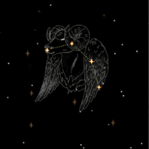 Constella Image