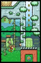 Yoshi's Island DS Image