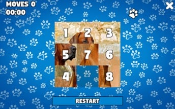 CatDog Puzzle Image