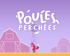 Poules perchées Image