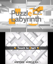 Puzzle Labyrinth Image