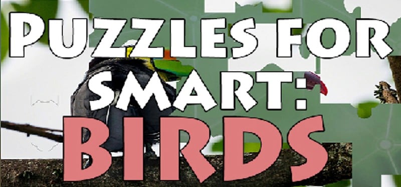 Puzzles for smart: Birds Game Cover