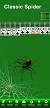 Spider Solitaire ‏‎ Image