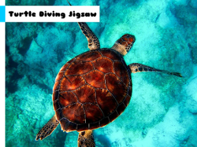 Turtle Diving Jigsaw Image
