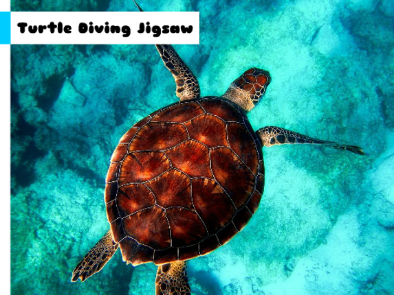 Turtle Diving Jigsaw Game Cover