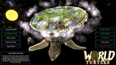 World Turtles Image