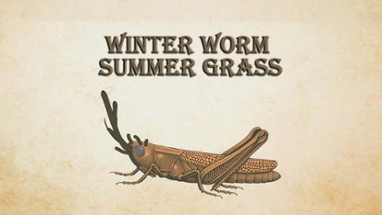 Winter Worm Summer Grass Image