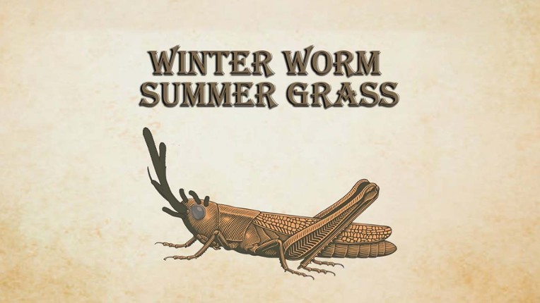 Winter Worm Summer Grass Game Cover