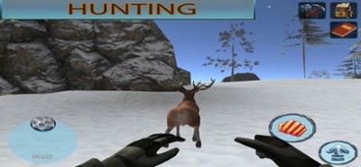 Winter Forest Survival 3D Image