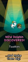 Dolphin Evolution Image