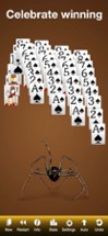 Spider Solitaire ‏‎ Image