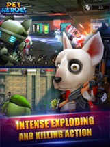 Action of Mayday: Pet Heroes Image