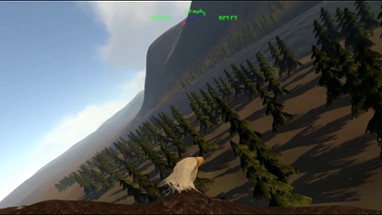 Aquila Bird Flight Simulator Image