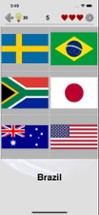 Flags of All World Countries Image
