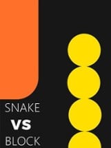 Snake VS Block Image