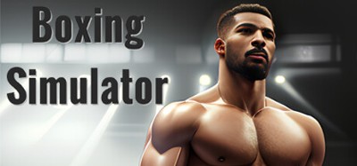 Boxing Simulator Image