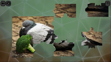 Puzzles for smart: Birds Image