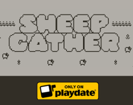 Sheep Gather Image