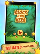 Block Jewel: Tentrix Puzzle Image