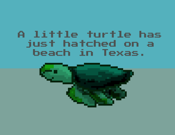 A little turtle has just hatched on a beach in Texas. Game Cover