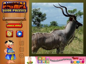 Kids Animal Slide Puzzle Ghép Hình Động Vật Cho Bé Image