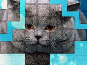 PicPu - Cat Puzzle Image