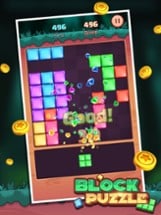 Block Puzzle™ Image