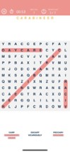 Word Search Puzzles Image