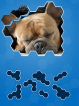 Hexa Puzzle Jigsaws Image