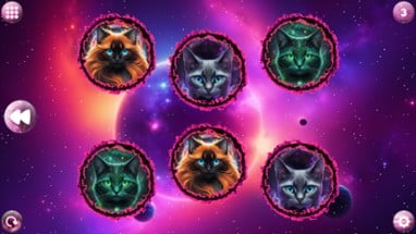 Space Memory: Cats Image