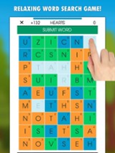 The Word Search Fun Game Image