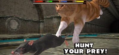 Ultimate Cat Simulator Image