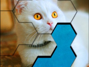 Blocks Hexa Jigsaw Puzzle™ Image