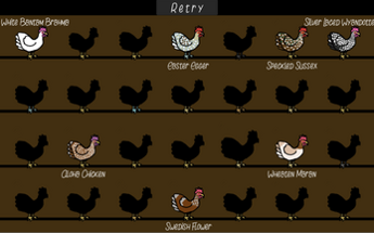 Too Many Chooks Image