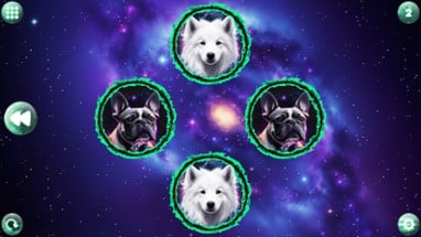 Space Memory: Dogs Image