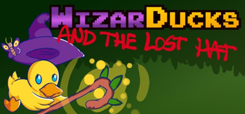 Wizarducks and the Lost Hat Game Cover