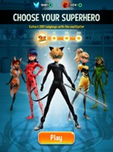 Miraculous Ladybug & Cat Noir Image