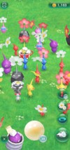 Pikmin Bloom Image