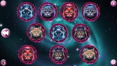 Space Memory: Cats Image